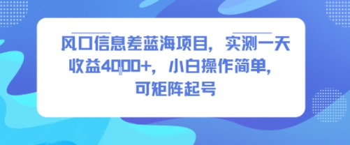 风口信息差蓝海项目，实测一天收益4k+，小白操作简单，可矩阵起号-梦帆创业网