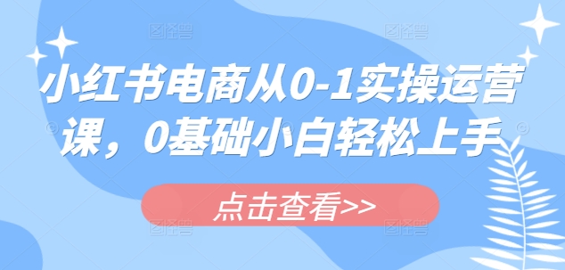 小红书电商从0-1实操运营课，0基础小白轻松上手-梦帆创业网