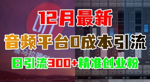 12月最新：音频平台0成本引流，日引流300+精准创业粉-梦帆创业网