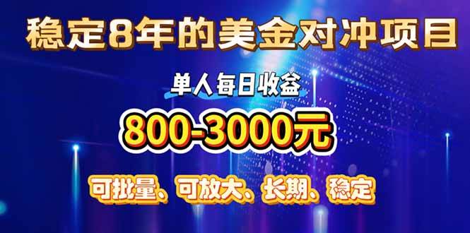 （15782期）稳定8年的美金对冲创业项目，单人每日收益800-3000，小众暴力项目-梦帆创业网