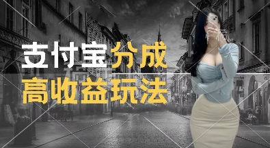 支付宝分成计划新玩法，利用交通事故视频，赚收益，轻松月入过W，操作简单【揭秘】-梦帆创业网