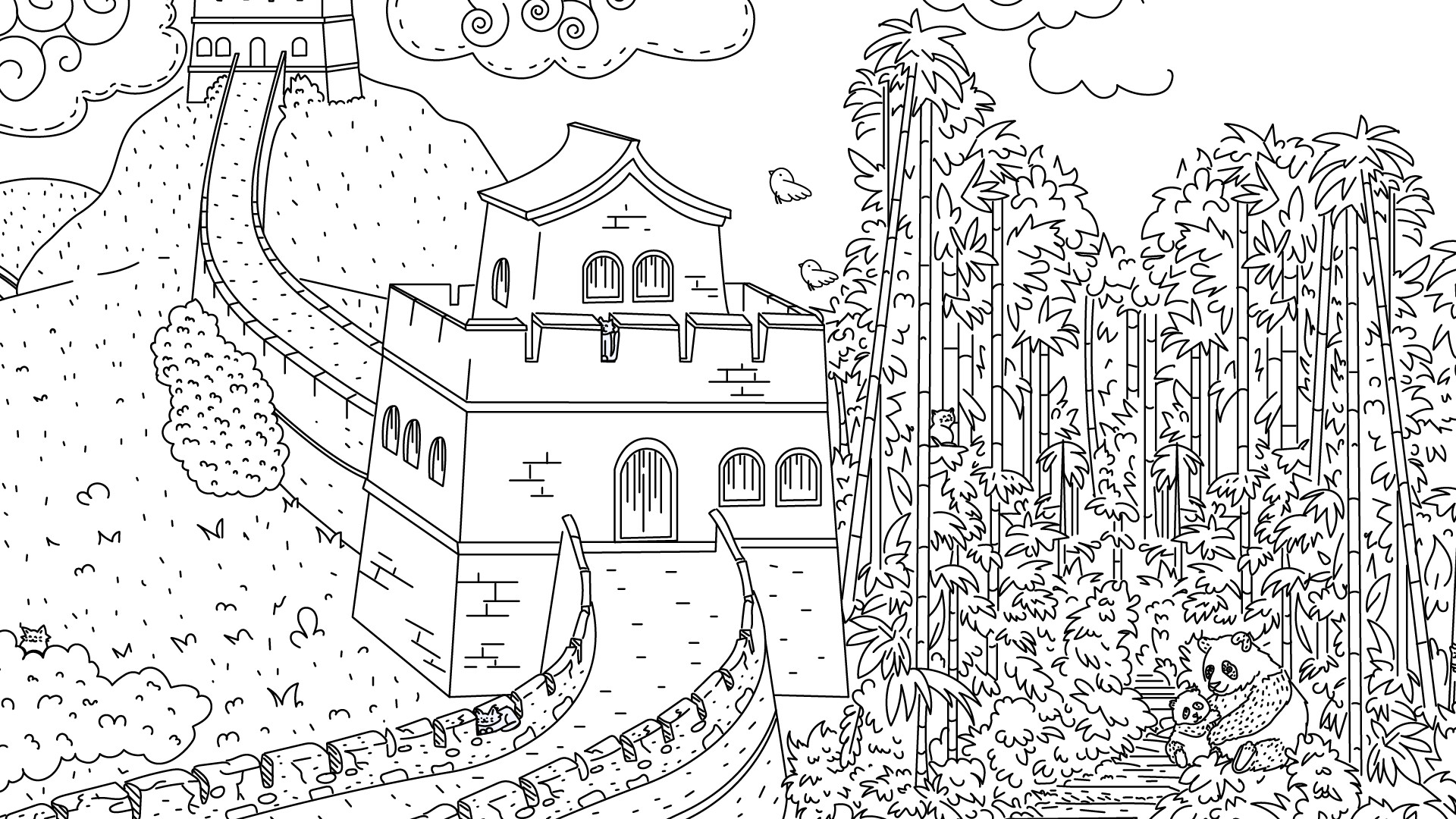 隐藏在中国的猫/Cats Hidden in China