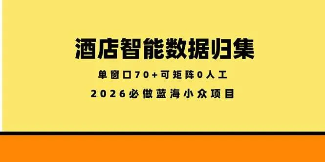 （18500期）酒店智能数据归集，小众蓝海已经稳定半年之久，单窗口70+零成本矩阵开干-梦帆创业网