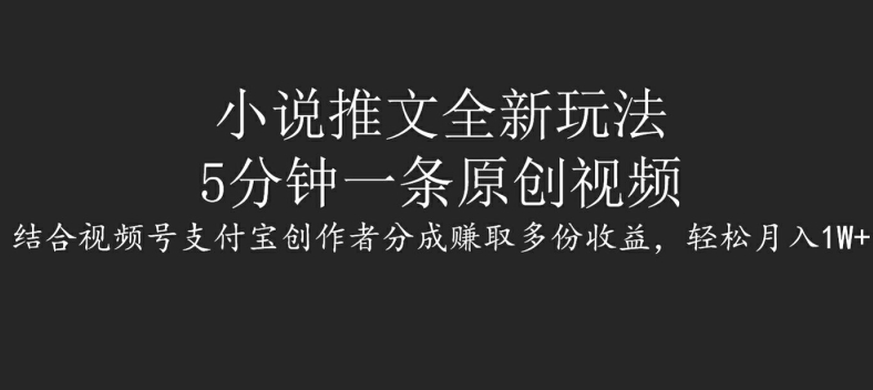 小说推文全新玩法，5分钟一条原创视频，结合视频号支付宝创作者分成赚取多份收益，轻松月入1W+-梦帆创业网