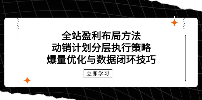 全站盈利布局方法：动销计划分层执行策略，爆量优化与数据闭环技巧-梦帆创业网