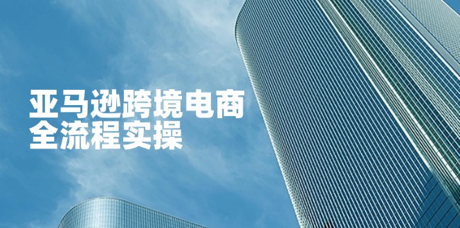 亚马逊跨境电商全流程实操，教你从零开始，掌握店铺运营与广告技巧-梦帆创业网