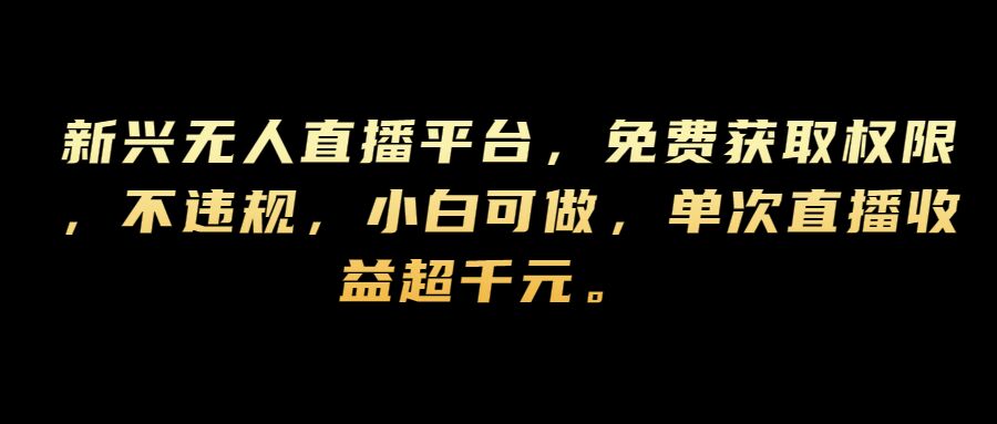 新兴无人直播平台，免费获取权限，不违规，小白可做，单次直播收益超千元-梦帆创业网