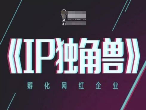 IP独角兽，孵化网红企业，ip教程-梦帆创业网