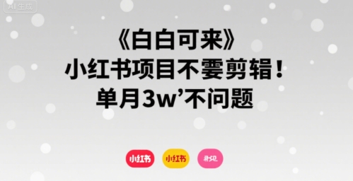 小白可来 小红书项目不需要剪辑 单月3w不是问题-梦帆创业网