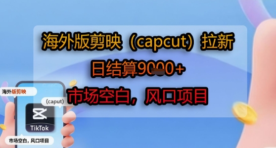 海外版剪映(capcut)拉新，日结算1k+，市场空白，风口项目-梦帆创业网