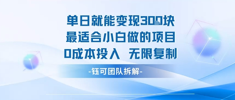 单日就能变现3张最适合小白做的项目0成本投入 无限复制-梦帆创业网