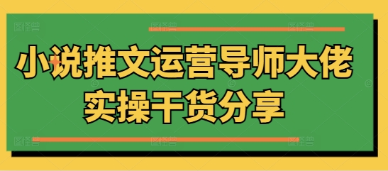 小说推文运营导师大佬实操干货分享-梦帆创业网