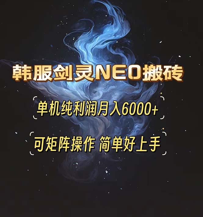 （13435期）韩服剑灵NEO搬砖攻略，单机纯利润月入6000+ 可矩阵操作，简单好上手。-梦帆创业网