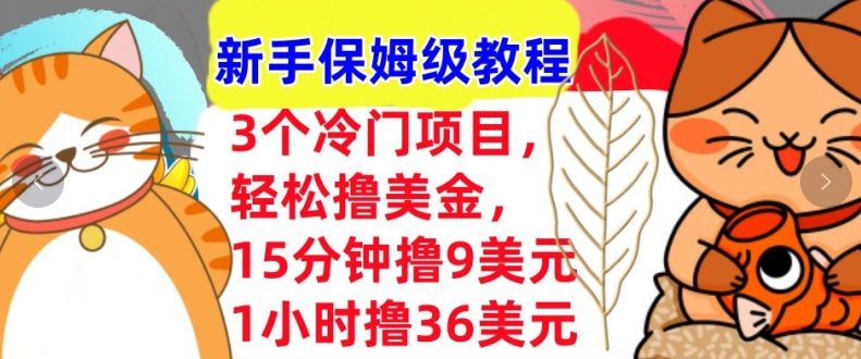 3个冷门项目，轻松撸美刀，1小时撸36刀，新手保姆级教程-梦帆创业网