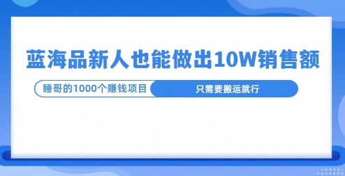这个蓝海品，新号也能卖出10W的销售额，年底疯狂怼量就能出结果-梦帆创业网