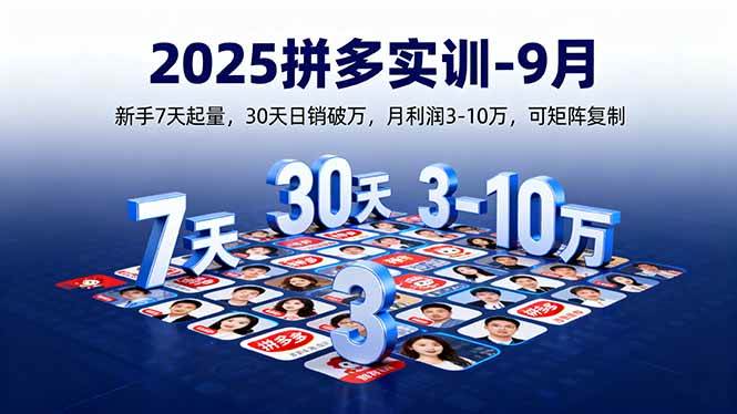 （16008期）2025拼多多实训-9月：新手7天起量,30天日销破万,月利润3-10万,可矩阵复制-梦帆创业网