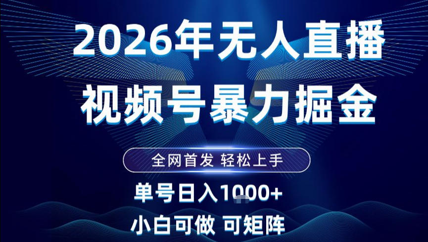 2026最新视频号无人直播掘金，全网首发，小白可以玩，长期稳定日入1k+【揭秘】-梦帆创业网