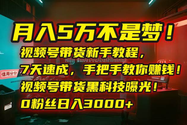 （15595期）月入5万不是梦！视频号带货新手教程，7天速成，手把手教你赚钱！视频号…-梦帆创业网