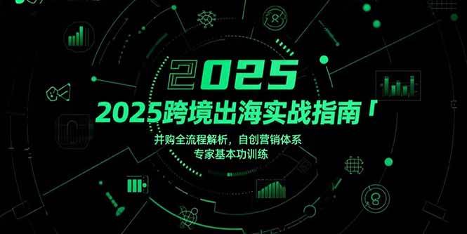 （15503期）2025跨境出海实战指南，并购全流程解析，自创营销体系，专家基本功训练-梦帆创业网