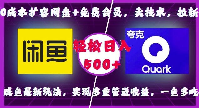 0成本扩容网盘+免费会员，卖技术，拉新，咸鱼最新玩法，实现多重管道收益，一鱼多吃，轻松日入500+-梦帆创业网