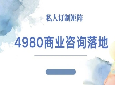 4980商业咨询师落地课程-ip运营高客单教程-梦帆创业网
