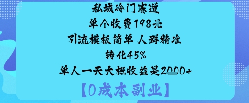 私域冷门赛道:单个收费198米引流模板简单人群精准转化45%单人一天大概收益是1k+-梦帆创业网