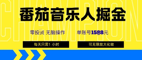 番茄音乐人掘金，单账号最高可撸1k+，可无限矩阵去做，零投入-梦帆创业网