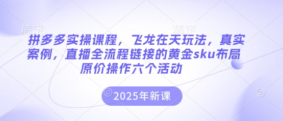 拼多多实操课程，飞龙在天玩法，真实案例，直播全流程链接的黄金sku布局原价操作六个活动-梦帆创业网