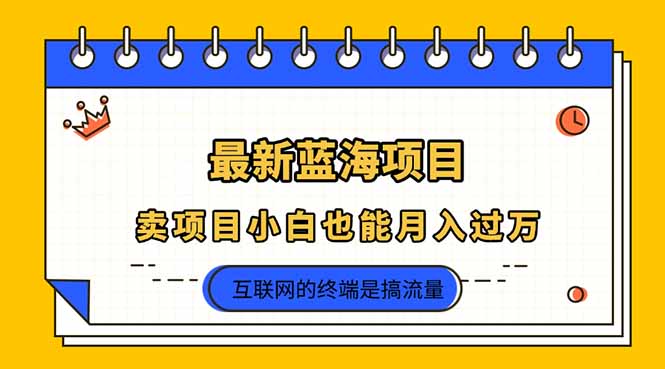 2025年最新蓝海项目，卖项目小白也能月入过万-梦帆创业网