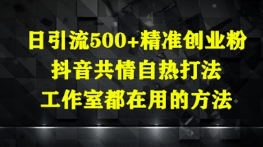 日引流500+精准创业粉，抖音共情自热打法，工作室都在用的方法-梦帆创业网