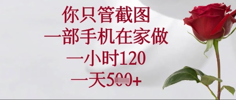 你只管截图，一部手机在家操作，一小时120.一天5张【揭秘】-梦帆创业网