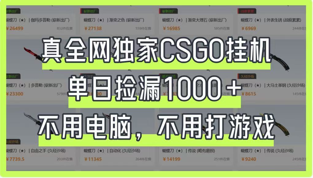 真全网独家CSGO挂机，单日捡漏1000+，不用电脑，不用养号-梦帆创业网