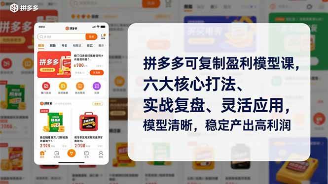 （16952期）拼多多可复制盈利模型课，六大核心打法、实战复盘、灵活应用，模型清晰，稳定产出高利润-梦帆创业网
