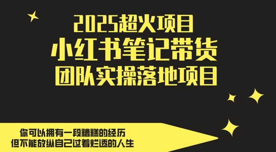 2025超火项目，副业最佳选择，小红书笔记带货团队实操落地项目，，轻松日入5张-梦帆创业网