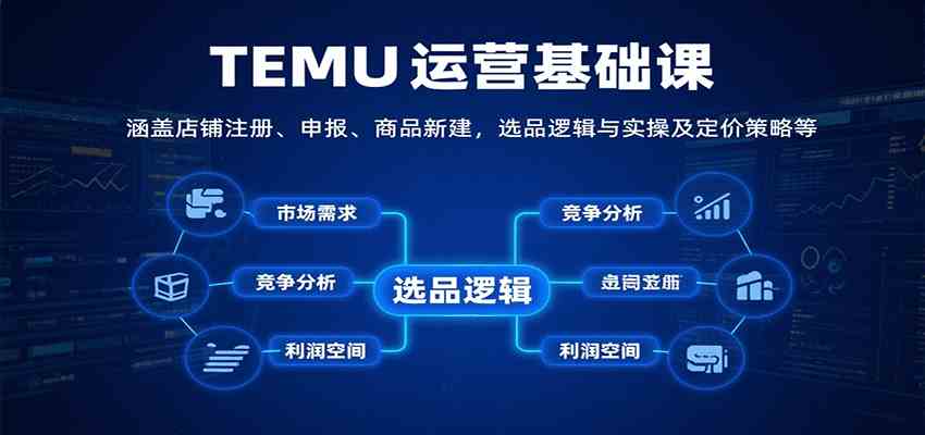 TEMU运营基础课：涵盖店铺注册、申报、商品新建，选品逻辑与实操及定价策略等-梦帆创业网
