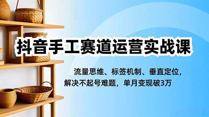 （16667期）抖音手工赛道运营实战课，流量思维、标签机制、垂直定位，解决不起号难题，单月变现破3万-梦帆创业网