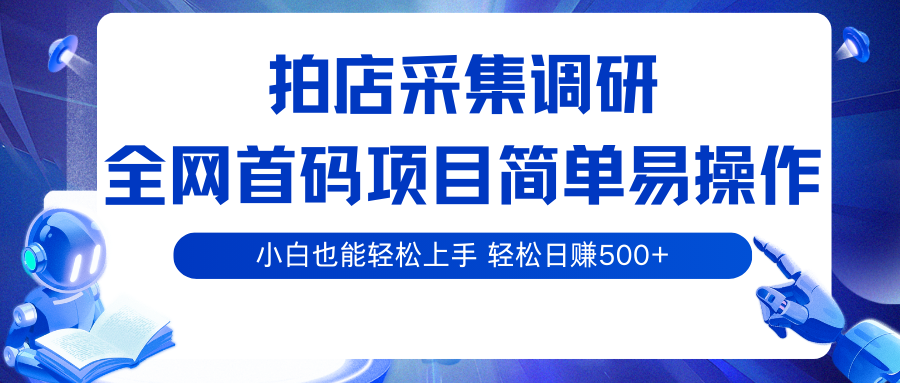 拍店采集调研，全网首码项目，简单易操作， 小白也能轻松上手，轻松日赚500+-梦帆创业网