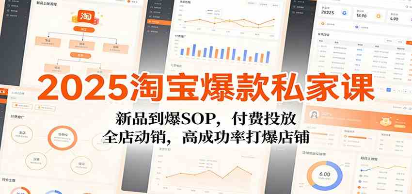 2025淘宝爆款私家课：新品到爆SOP，付费投放，全店动销，高成功率打爆店铺-梦帆创业网