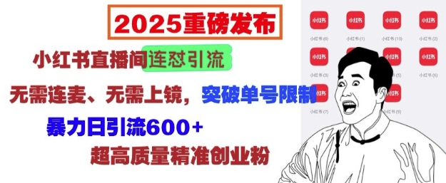 2025重磅发布：小红书直播间连怼引流，无需连麦、无需上镜，突破单号限制，暴力日引流600+-梦帆创业网