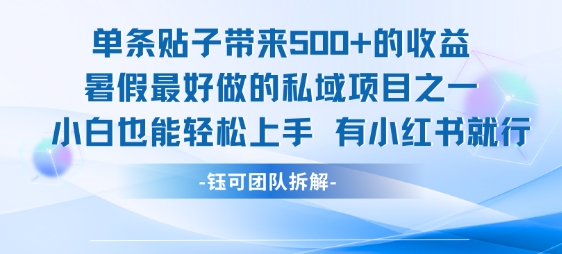 单条贴子带来5张的收益，暑假最好做的私域项目之一，小白也能轻松上手，有小红书就行-梦帆创业网