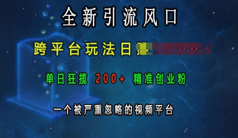 全新引流风口，跨平台玩法日入上k，单日狂揽200+精准创业粉，一个被严重忽略的视频平台-梦帆创业网