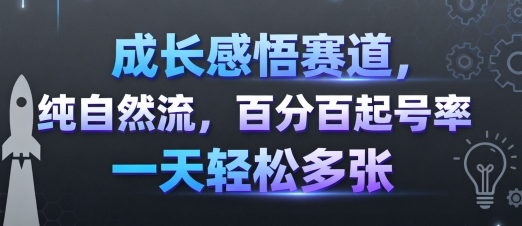 成长感悟赛道，纯自然流，百分百起号率 一天轻松多张-梦帆创业网