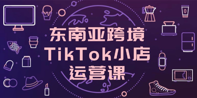 东南亚跨境TikTok小店运营课，掌握店铺设置与流量转化核心技巧-梦帆创业网