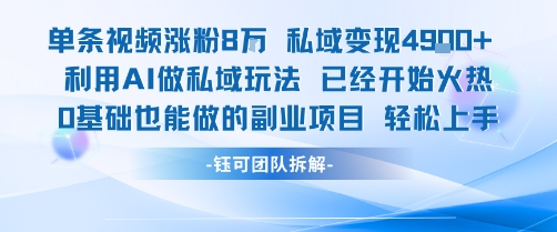 单条视频私域变现4.9k+利用AI做私域玩法 已经开始火热0基础也能做的副业项目轻松上手-梦帆创业网