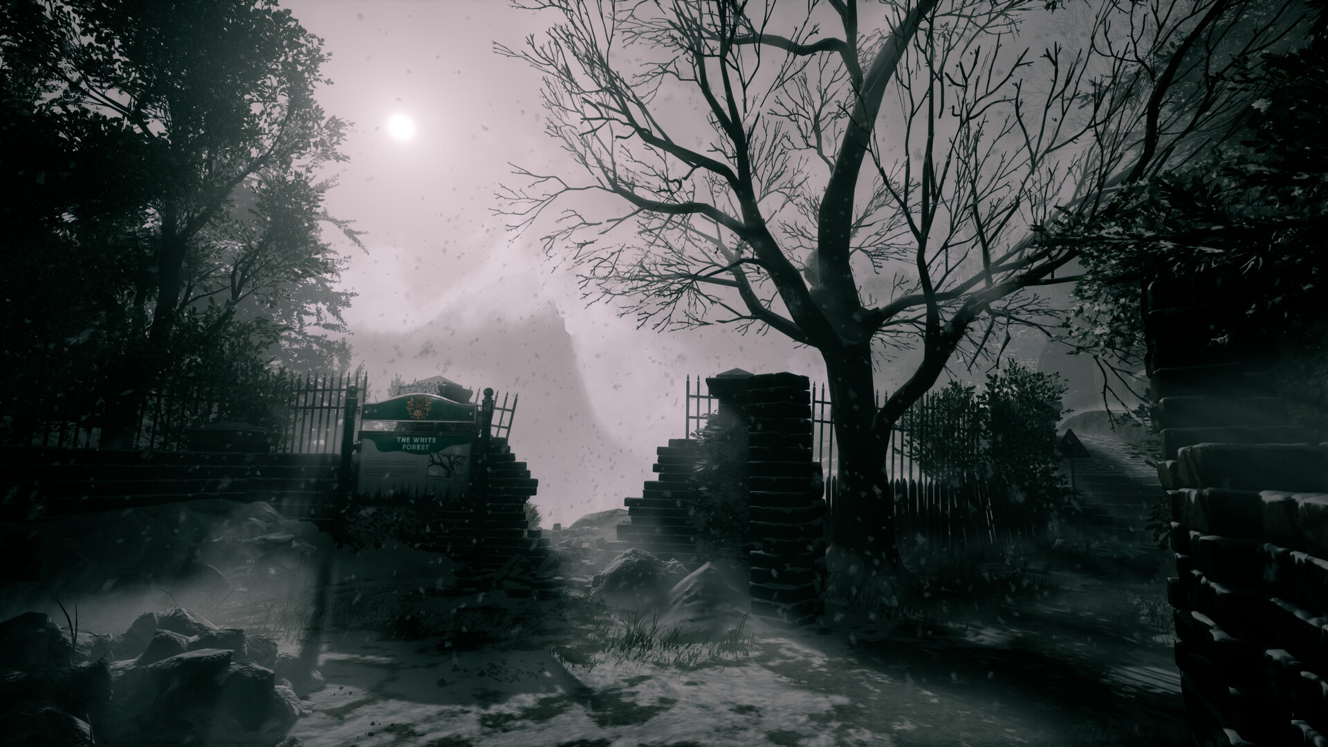 她要离开/She's Leaving