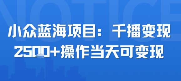 小众蓝海项目，千播变现2.5k+操作当天可变现-梦帆创业网