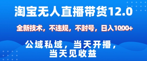 淘宝无人直播12.0，公域私域技术，不封号，不违规布局双十一流量风口，日入1k（独家技术）【揭秘】-梦帆创业网