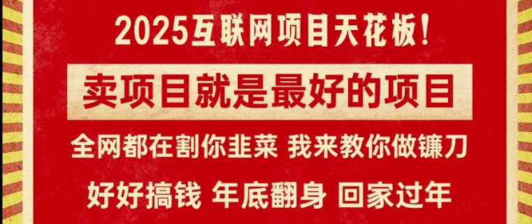 卖项目就是最好的项目，2025年互联网项目天花板-梦帆创业网