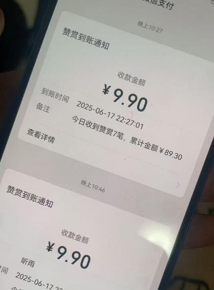 二次元男粉快速变现项目，私域卖虚拟产品，百分利润-梦帆创业网