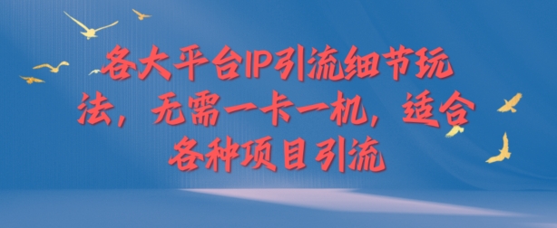 各大平台IP引流细节玩法，无需一卡一机，适合各种项目引流-梦帆创业网